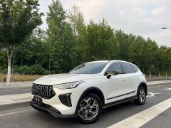 Haval Chitu Jingxiang Edition 1.5T Purple Copper Rabbit - ფოტო 1