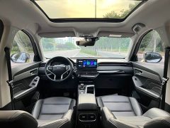Haval Chitu Jingxiang Edition 1.5T Purple Copper Rabbit - ფოტო 11