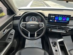Haval Chitu Jingxiang Edition 1.5T Purple Copper Rabbit - ფოტო 13