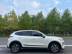 Haval Chitu Jingxiang Edition 1.5T Purple Copper Rabbit - ფოტო 3
