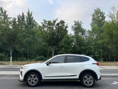 Haval Chitu Jingxiang Edition 1.5T Purple Copper Rabbit - ფოტო 4