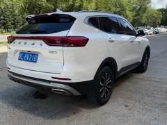 Haval H6 2023 National Trend Edition 1.5T Automatic Urban Version - ფოტო 6