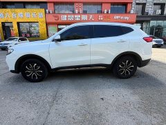 Haval H6 2023 National Trend Edition 1.5T Automatic Urban Version - ფოტო 8