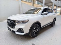 Haval H6 National Trend Edition 1.5T Automatic Urban Version - ფოტო 1
