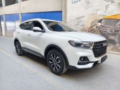 Haval H6 National Trend Edition 1.5T Automatic Urban Version - ფოტო 3