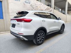 Haval H6 National Trend Edition 1.5T Automatic Urban Version - ფოტო 7