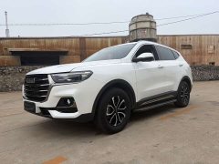 Haval H6 2021 National Trend Edition 1.5T Automatic Urban Version - ფოტო 1