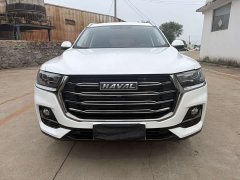 Haval H6 2021 National Trend Edition 1.5T Automatic Urban Version - ფოტო 2
