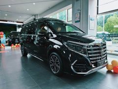 Mercedes-Benz V-Class V 300 L Long Wheelbase Luxury Edition - ფოტო 1