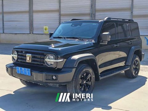 2024 Tank 300 2.0T Conqueror - ავტომობილი ჩინეთიდან