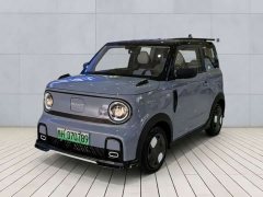 Geely Panda 200km Panda Kart - ფოტო 1