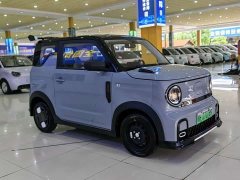 Geely Panda 200km Panda Kart - ფოტო 11