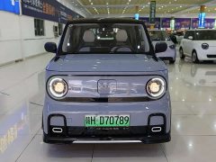 Geely Panda 200km Panda Kart - ფოტო 2