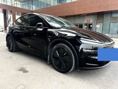 Tesla Model Y 2025 Rear-Wheel Drive - ფოტო 2