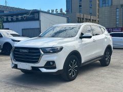 Haval H6 2021 National Trend Edition 1.5T Automatic Urban Version - ფოტო 1