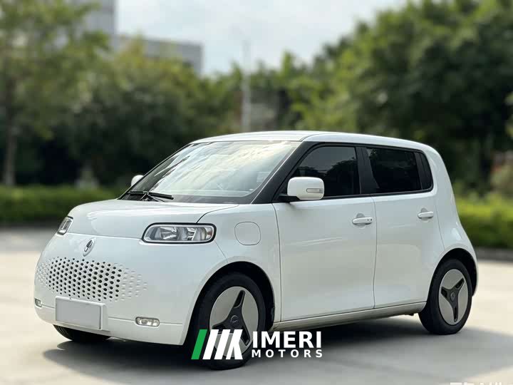 Ora White Cat 360km Luxury Version - ავტომობილი ჩინეთიდან