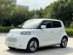 Ora White Cat 360km Luxury Version - ფოტო 1