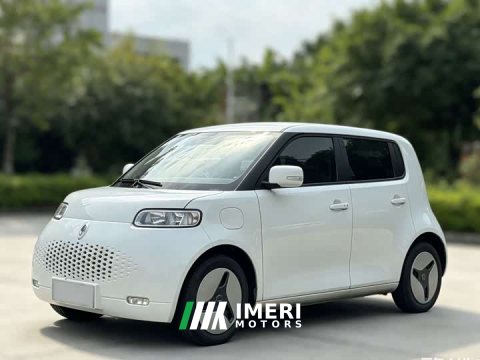 2021 Ora White Cat 360km Luxury Version - ავტომობილი ჩინეთიდან