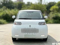 Ora White Cat 360km Luxury Version - ფოტო 2