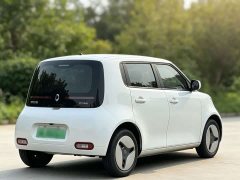 Ora White Cat 360km Luxury Version - ფოტო 5