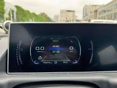 Ora White Cat 360km Luxury Version - ფოტო 9