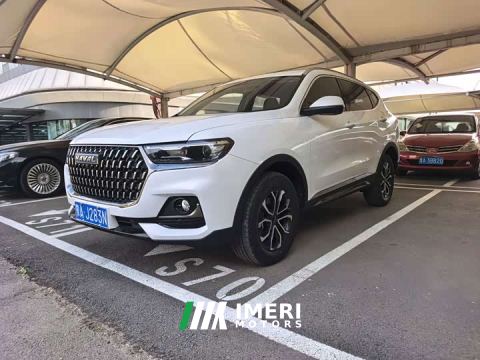 2023 Haval H6 National Trend Edition 1.5T Automatic Champion Version