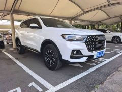 Haval H6 National Trend Edition 1.5T Automatic Champion Version - ფოტო 3
