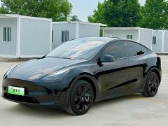 Tesla Model Y 2022 Facelift Rear-Wheel Drive - ფოტო 1