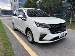 Wuling Jiachen 1.5T CVT Smart Luxury - ფოტო 3