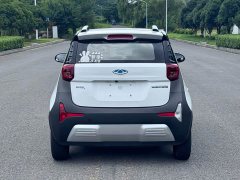 Chery Ant Facelift 150,000 Ant Fans Edition New Ant Cool Version LFP Battery - ფოტო 11