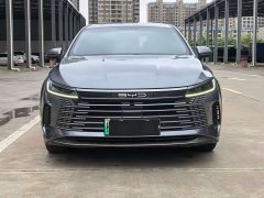 BYD Destroyer 05 Glory Edition DM-i 120KM Luxury - ფოტო 2