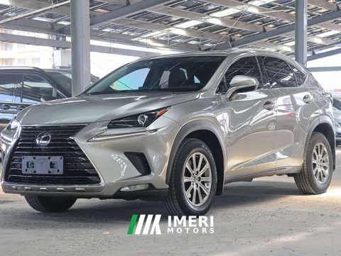 2021 Lexus NX 2020 200 AWD Sharp Luxury Edition National V - ავტომობილი ჩინეთიდან