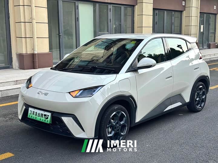 BYD Seagull 2025 405km Flying Edition - ავტომობილი ჩინეთიდან
