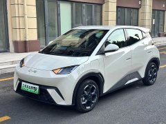 BYD Seagull 2025 405km Flying Edition - ფოტო 1