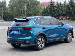 Haval Chitu Jingxiang Edition 1.5T Purple Copper Rabbit - ფოტო 15