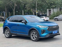 Haval Chitu Jingxiang Edition 1.5T Purple Copper Rabbit - ფოტო 2