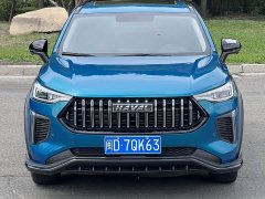 Haval Chitu Jingxiang Edition 1.5T Purple Copper Rabbit - ფოტო 3