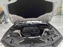 BMW 5 Series 525Li Luxury Package - ფოტო 11