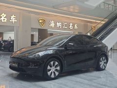Tesla Model Y 2021 Standard Range RWD - ფოტო 1