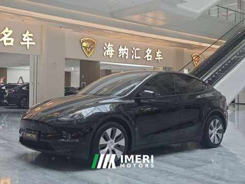 2022 Tesla Model Y 2021 Standard Range RWD - ავტომობილი ჩინეთიდან