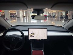 Tesla Model Y 2021 Standard Range RWD - ფოტო 11