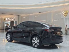 Tesla Model Y 2021 Standard Range RWD - ფოტო 3