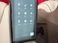 Denza BYD Denza D9 2022 DM-i 945 Luxury - ფოტო 10