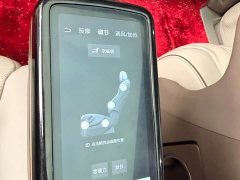 Denza BYD Denza D9 2022 DM-i 945 Luxury - ფოტო 13