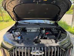 Chery Tiggo 7 PLUS Champion Edition 1.5TCI CVT Extraordinary Edition - ფოტო 19