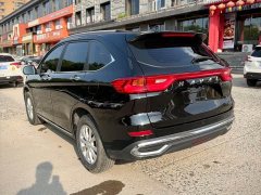Haval M6 PLUS 1.5T DCT Luxury Smart Connected Edition - ფოტო 4