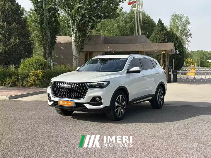 Haval H6 2023 National Trend Edition 1.5T Automatic Champion Version - ავტომობილი ჩინეთიდან