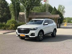 Haval H6 2023 National Trend Edition 1.5T Automatic Champion Version - ფოტო 1