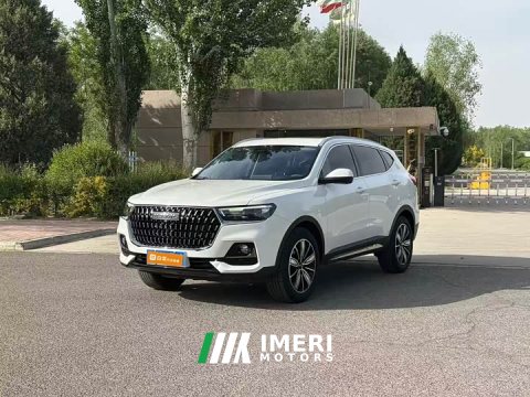 2024 Haval H6 2023 National Trend Edition 1.5T Automatic Champion Version - ავტომობილი ჩინეთიდან