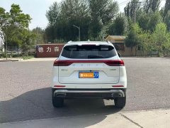 Haval H6 2023 National Trend Edition 1.5T Automatic Champion Version - ფოტო 5